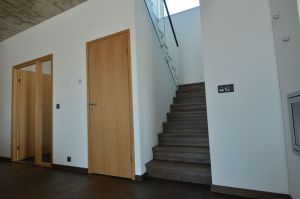 Kinnine trepp tammest astmetega